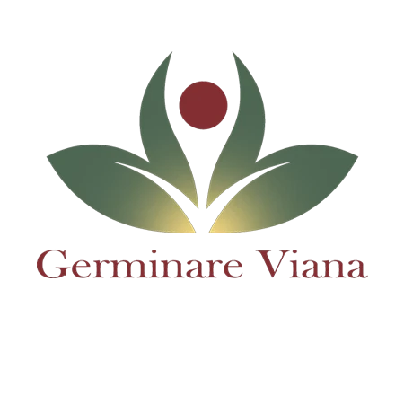 Consultoria Germinare
